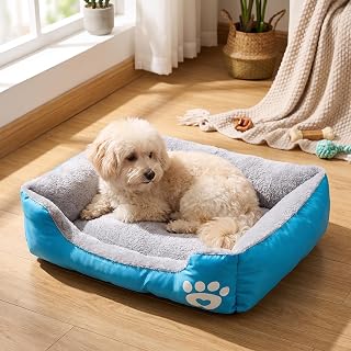 Plush Dog Bed for Small and Large Dogs, Rectangular Polyester with Paw Design, Soft and Comfortable for Indoor/Outdoor Use, Small Dog Bed and