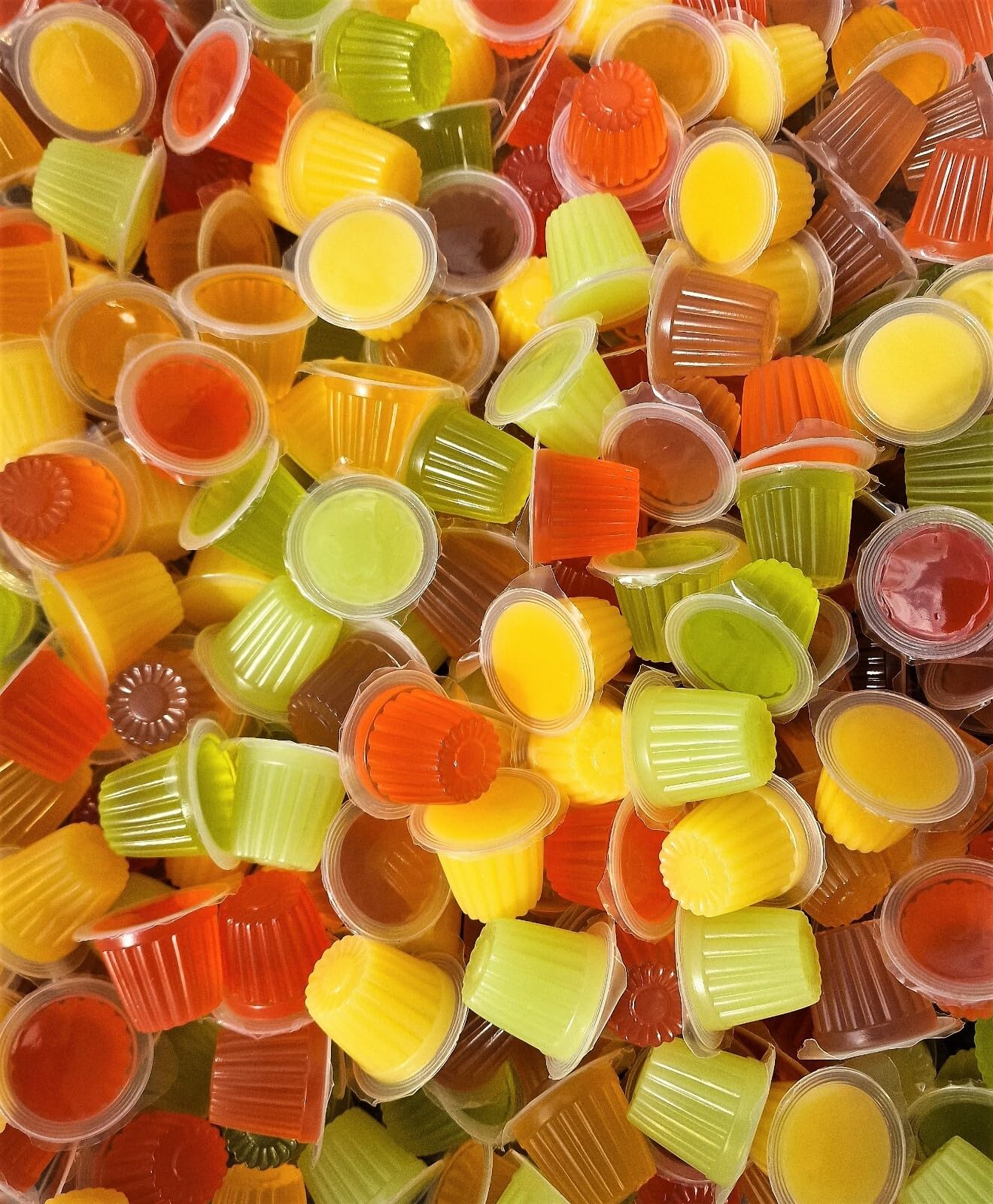Online Reptile Shop Fruit Jelly Pots, 50 Pack, Mixed Flavours Nutrient Feed for 
