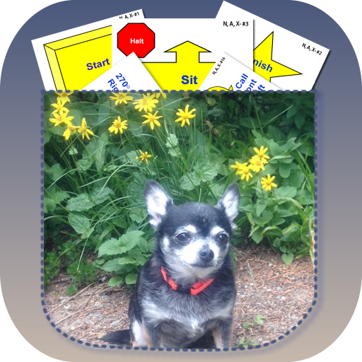 Pocket Rally Obedience