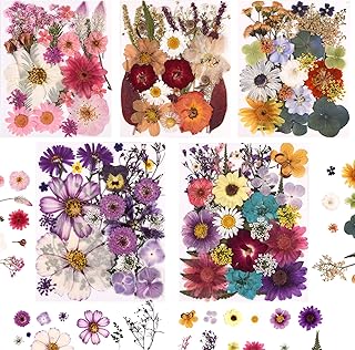 Cokosing 5 Packs of 140 Pressed Dried Flowers and Leaves for Resin | Assorted Real Natural Dry Flowers with Tweezers For DIY Crafts, Jewelry, Card Making, Soap,Candles, Nail Art, Scrapbooking