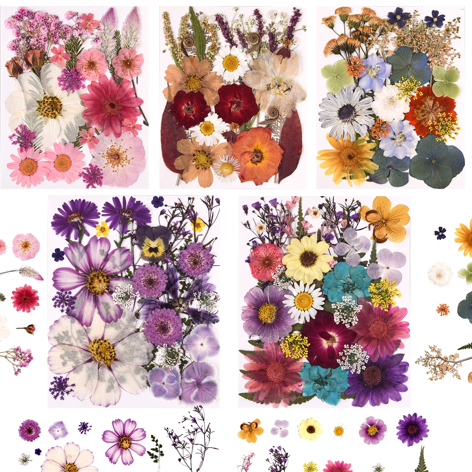 Cokosing 5 Packs of 140 Pressed Dried Flowers and Leaves for Resin | Assorted Re