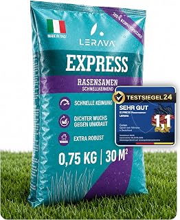 LERAVA® Express Lawn Seeds Autumn Fast Germinating (0.75 kg for 30 m²) | German ryegrass for lawn reseeding and lawn seed for sports and play lawn, sports lawn seeds, dark green, fine scar