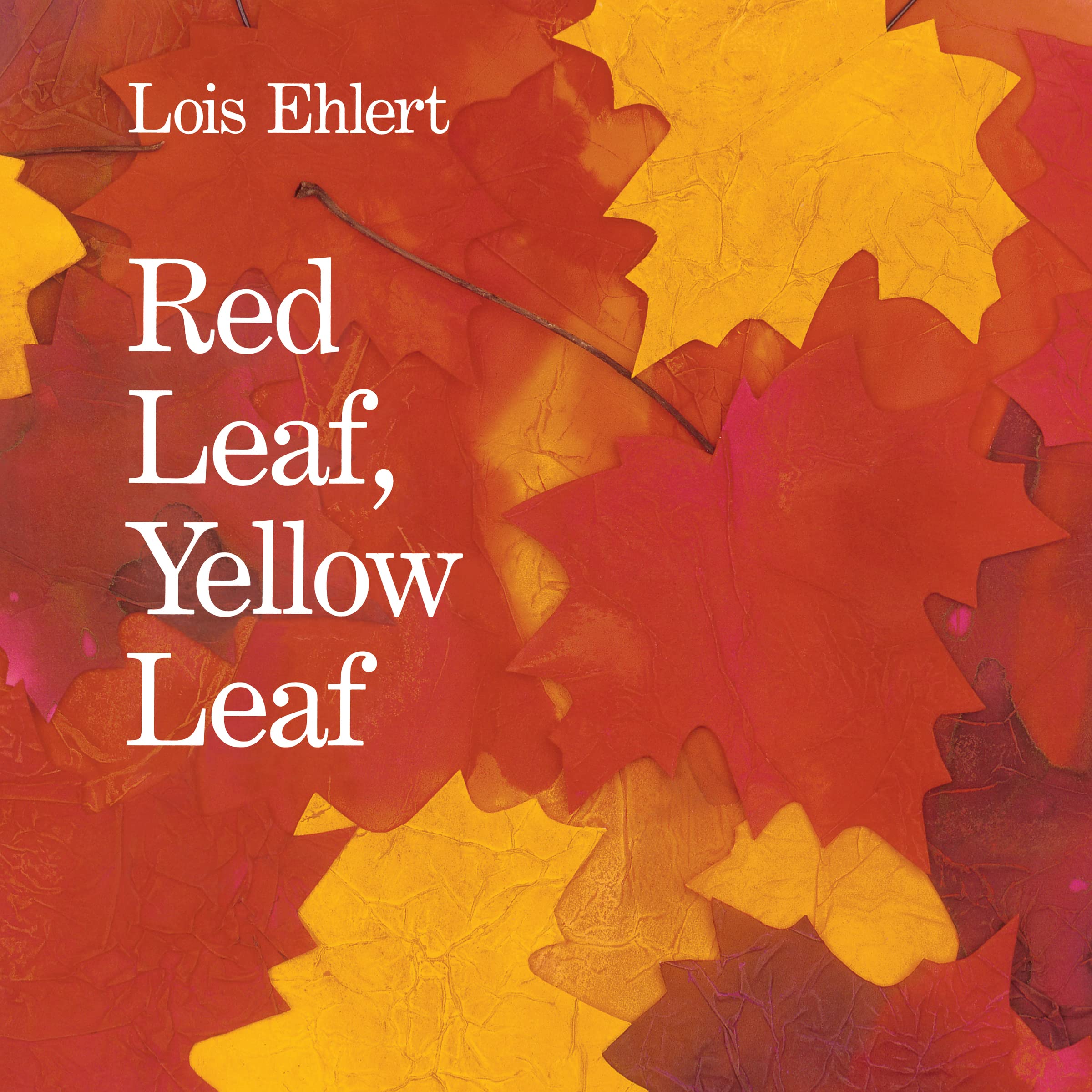 Red Leaf, Yellow Leaf: A Bold Watercolor Collage About Trees, Roots, and Nature 