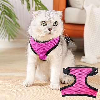 Comfortable Dog Harness and Leash Set for Walking - Step-In Vest Harness, Adjustable No Pull Puppy Essentials for Small Medium Dogs and Cats, Pink XS