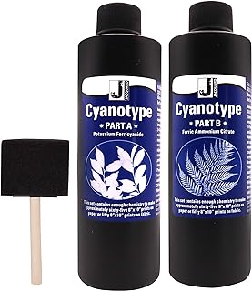 Jacquard Cyanotype Kit Sun Printing for Paper &amp; Fabric Bundled Sponge Brush | 2 part Jacquard cyanotype Sun print chemistry, makes 65+ prints, works on cotton, silk, canvas, wood, leather &amp; paper