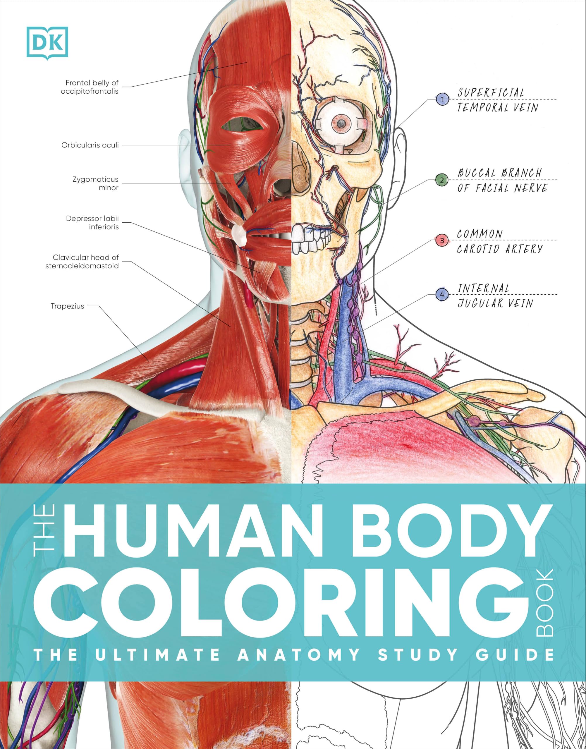 The Human Body Coloring Book: The Ultimate Anatomy Study Guide, Second Edition (
