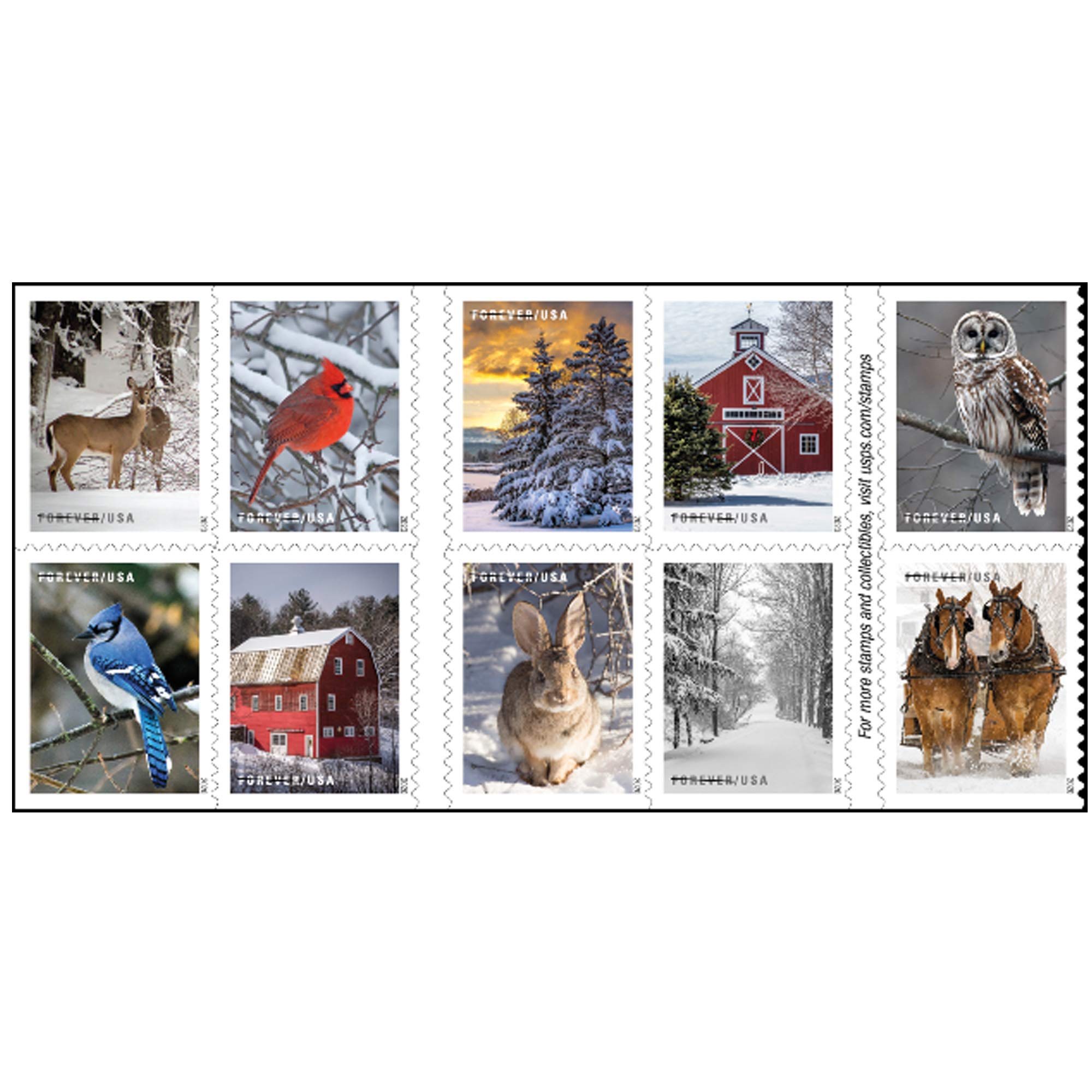USPS Winter Scenes Forever Postage Stamps Book of 20 First Class US Postal Holid