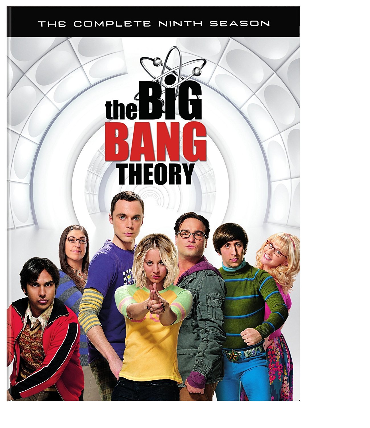 The Big Bang Theory: The Complete Ninth Season [Region 1]
