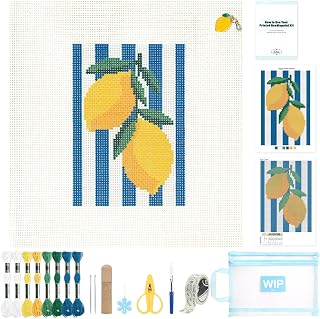 Kaitiaki 13 mesh Needlepoint Canvas Kit, 8 in Painted Canvas Set with Embroidery Floss, Needles, Guide Card, Instruction, Threader, Scissors & Project Bag for Crafter Gift(Lemon)