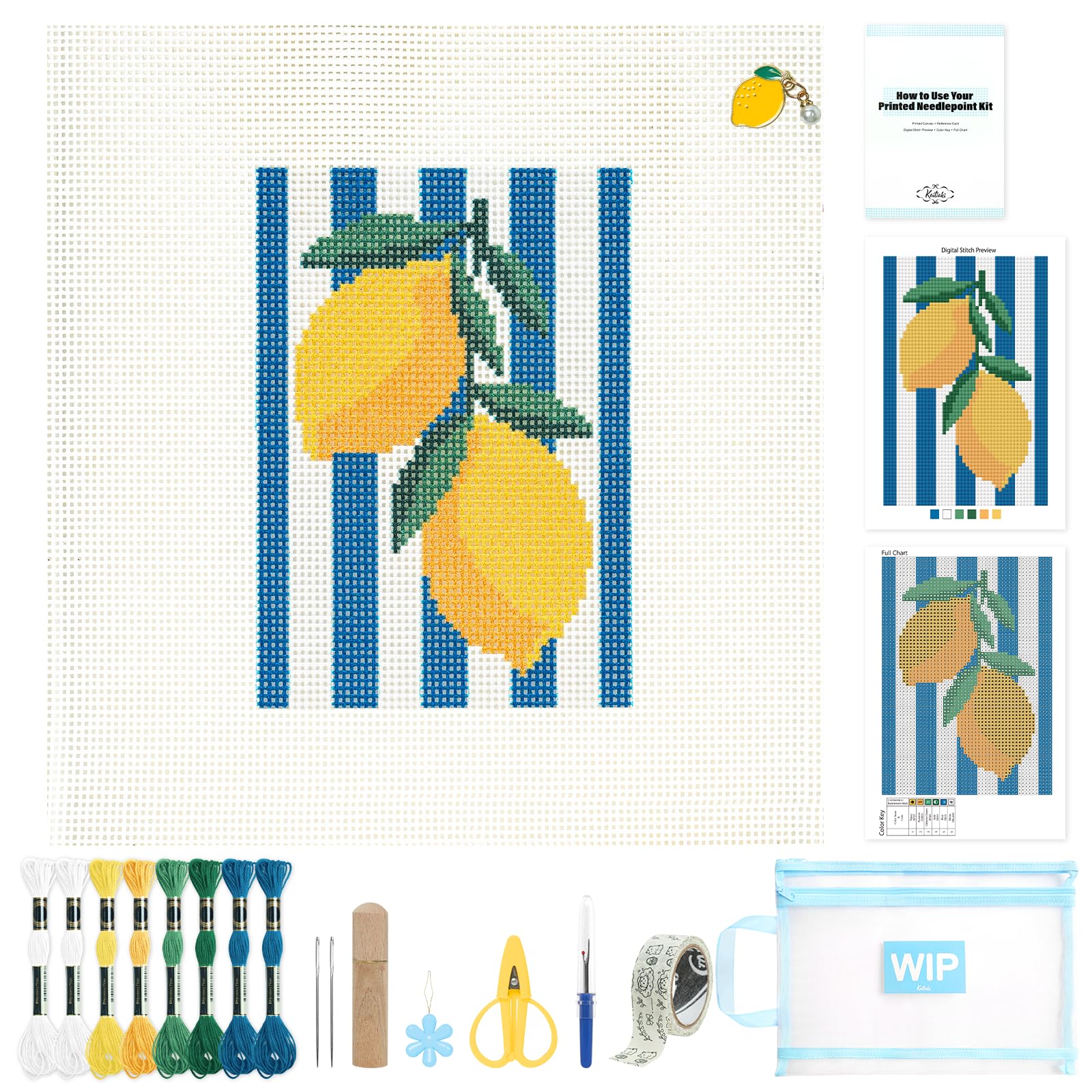 Kaitiaki 13 mesh Needlepoint Canvas Kit, 8 in Painted Canvas Set with Embroidery
