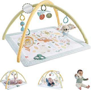 Fisher-Price Simply Senses Newborn Play Mat
