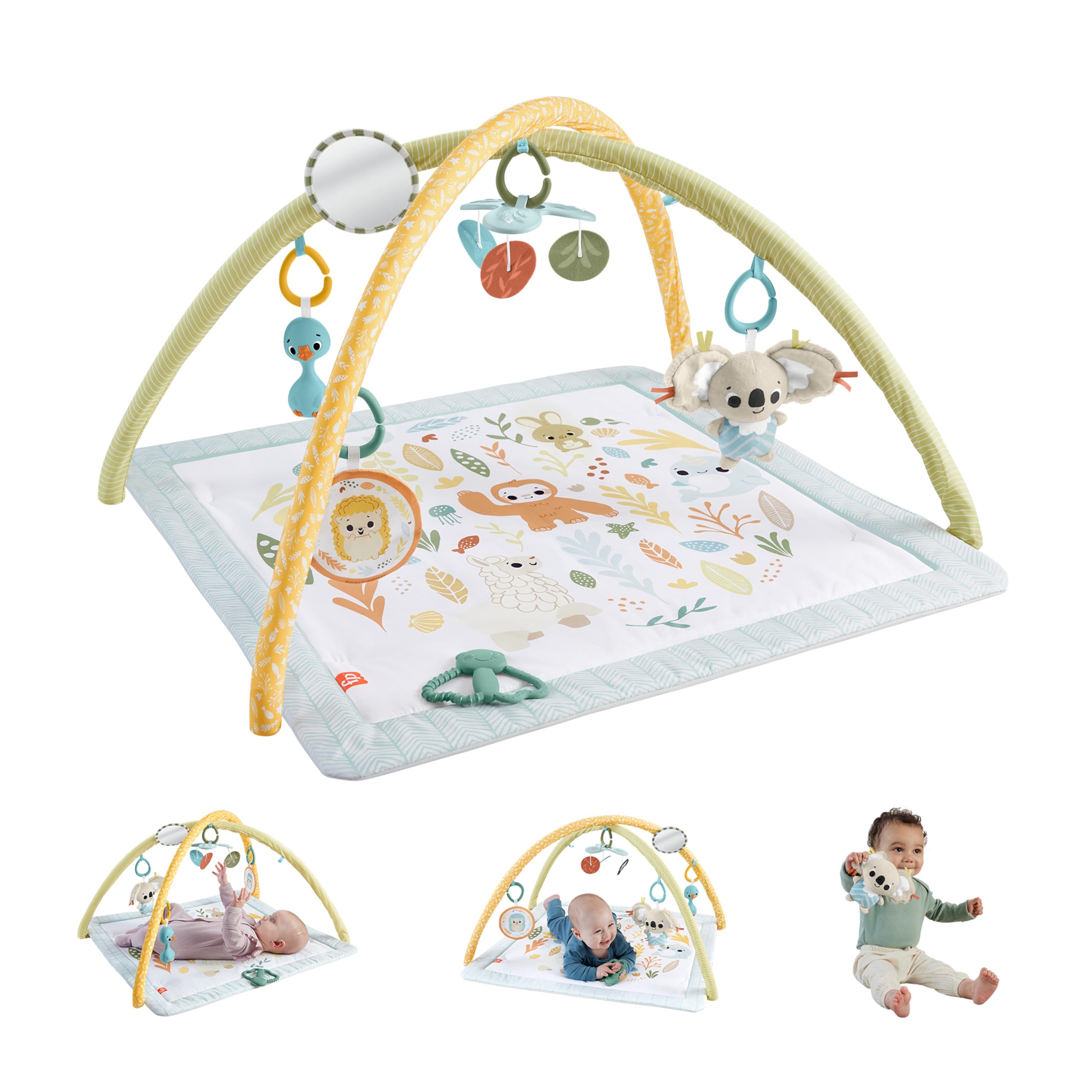 Fisher-Price Simply Senses Newborn Play Mat