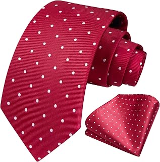 HISDERN Men's Elegant Polka Dot Tie and Handkerchief for Weddings Business Tie Set