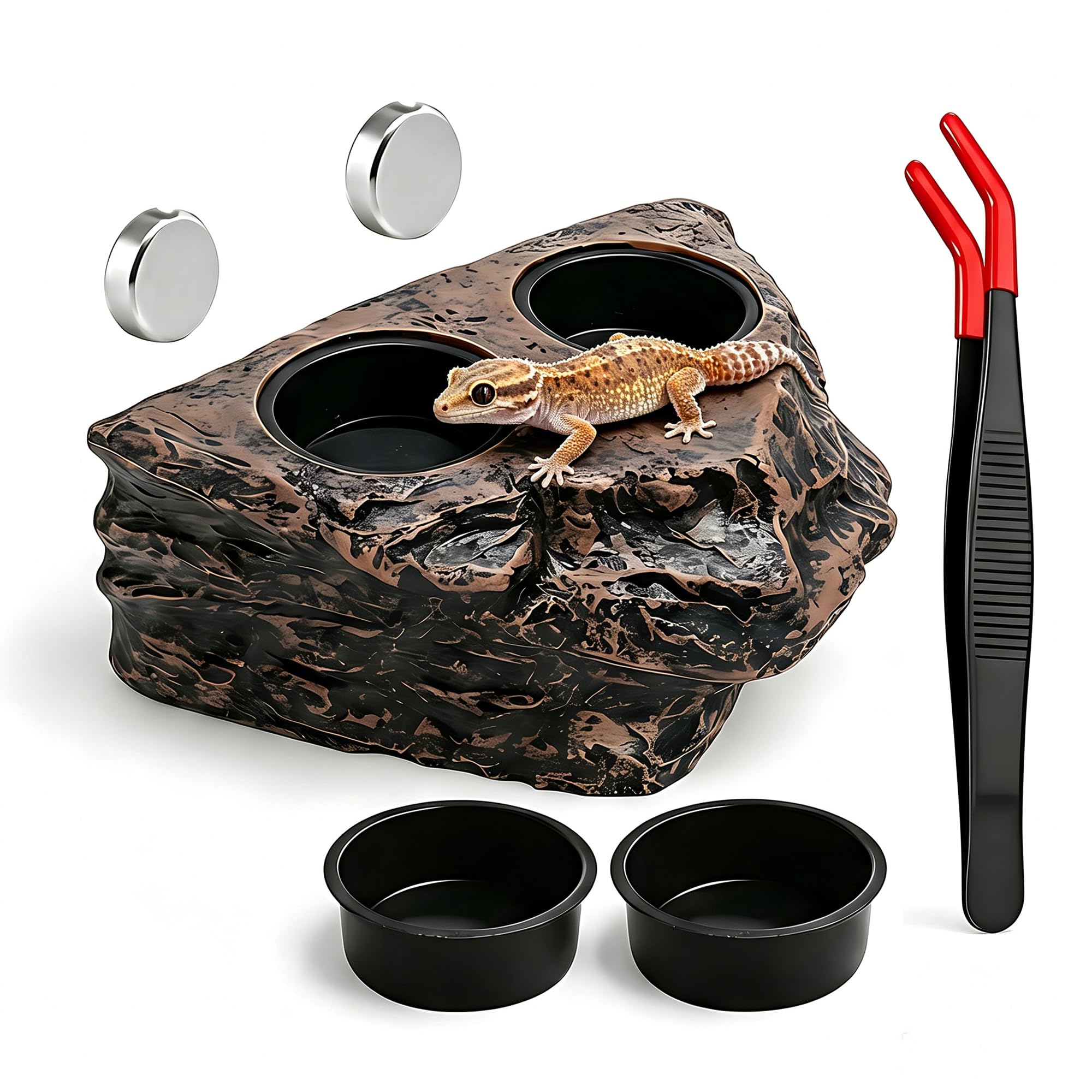 ChiiGe Magnetic Crested Gecko Feeding Ledge with Tongs, 4-Cup Rock Feeder | Made