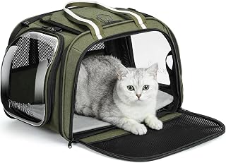 pecute Cat Carrier Stable, Large Space, Pet Carrier Bubble Window,Green