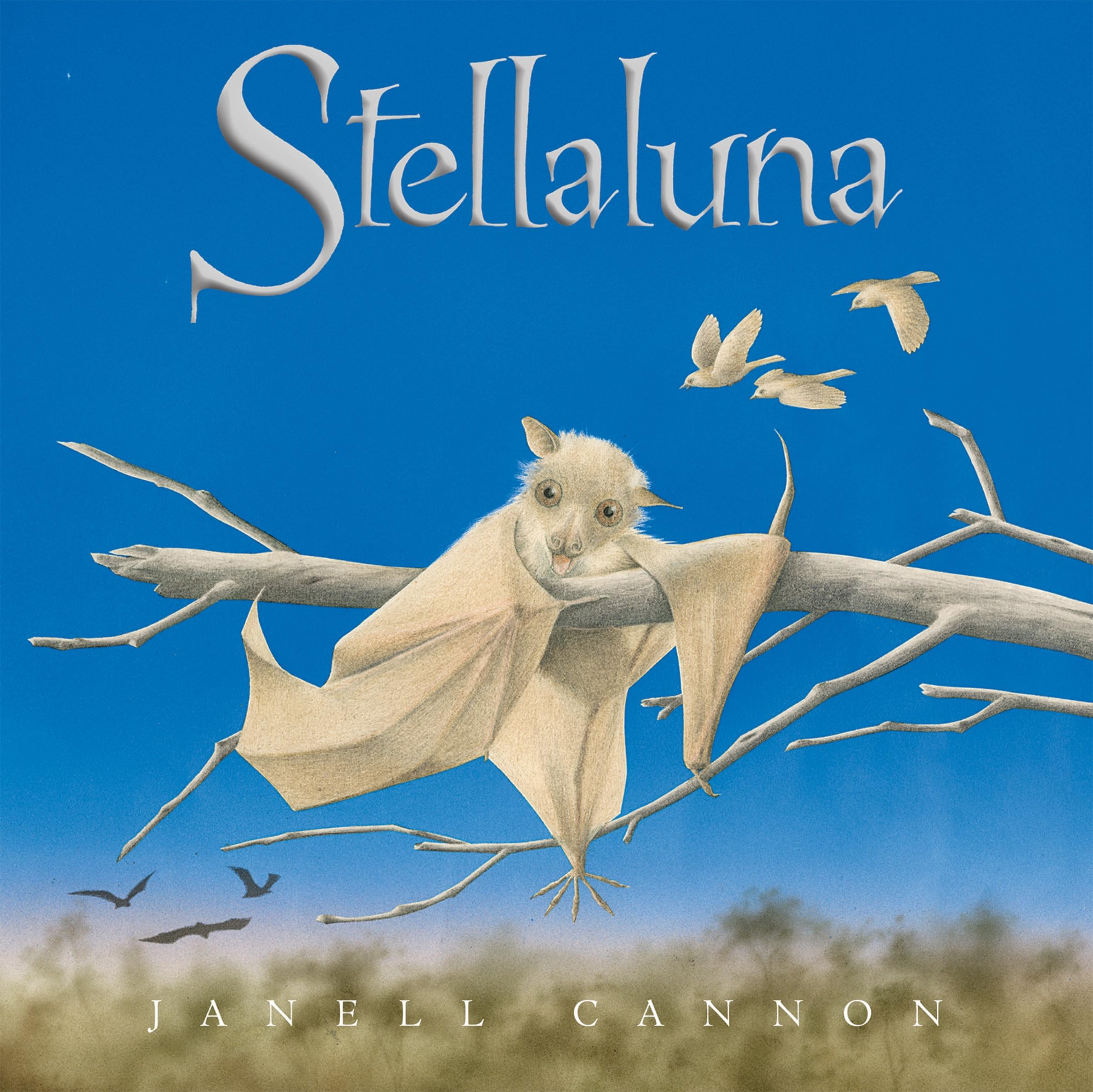 Stellaluna: A Heartwarming Animal Adventure About Identity, Family, and Finding 