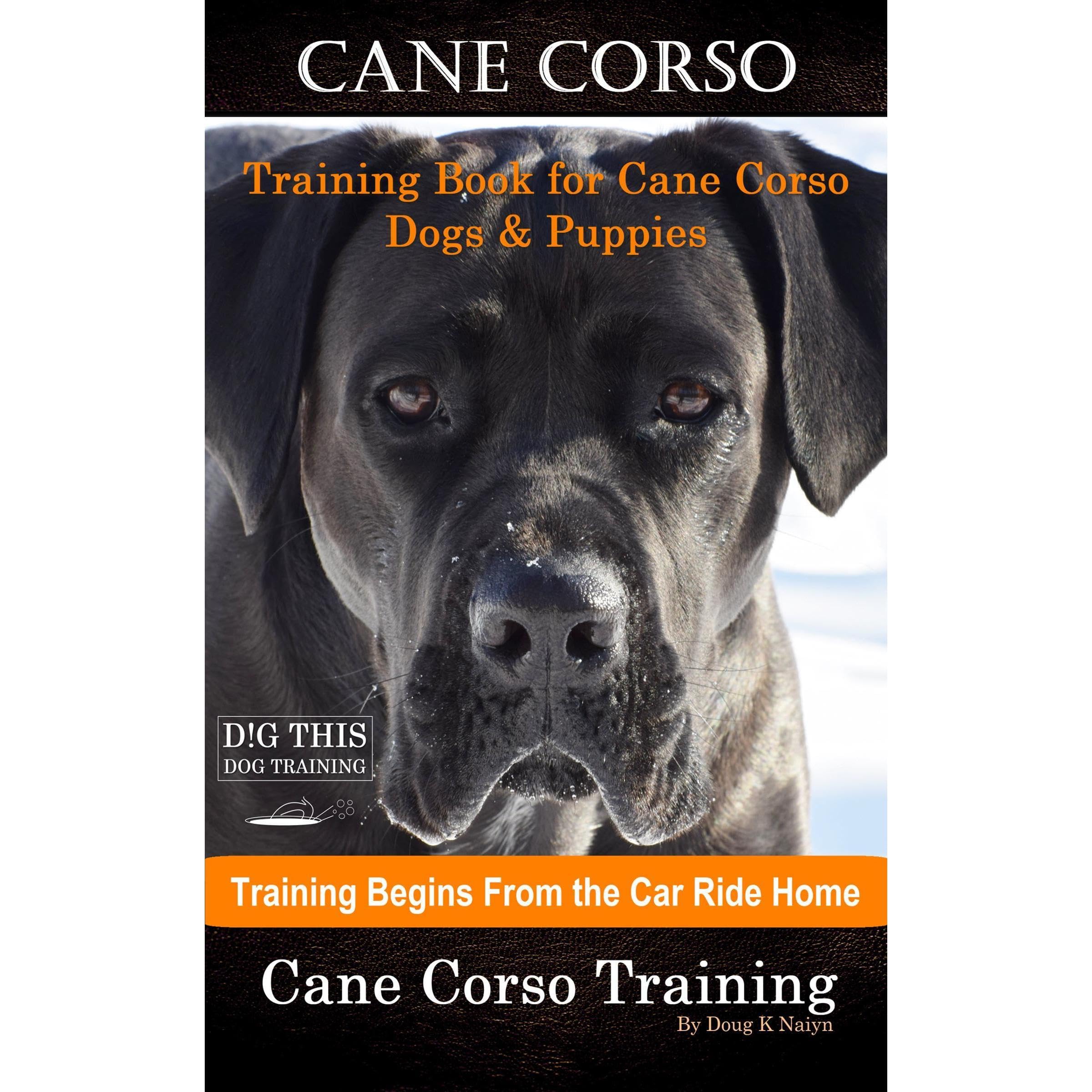 Cane Corso Training Book for Cane Corso Dogs & Puppies By D!G THIS DOG Training,
