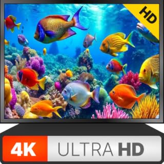 Ambiance Aquarium – Stunning 4K Ultra HD Underwater Experience