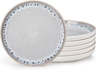 Vancasso Dinner Plate Set of 6, 10.25" Salad Plates, Straight Edge Dinnerware Ceramic Scratch Resistant Perfect for Party Dessert, Wedding Appetizer, Gift