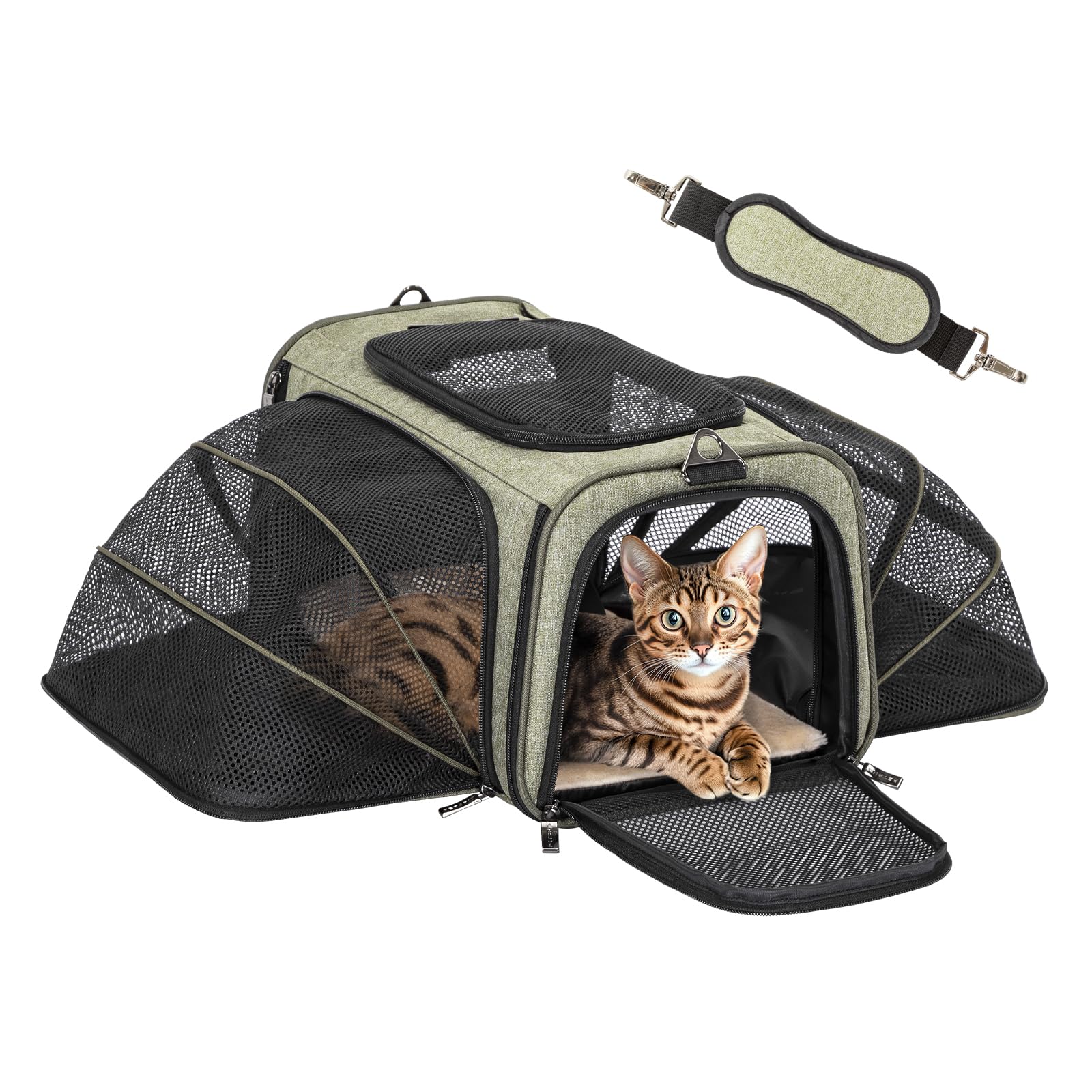 Petsfit Small Double Expandable Cat Carrier for Kittens and Air Travel | 16 x 10