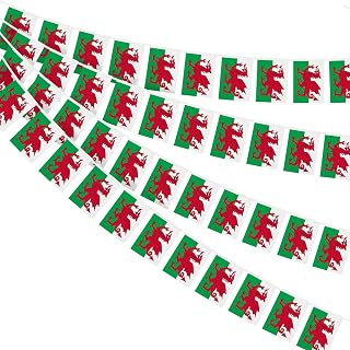 AhfuLife Welsh Flag 30pcs Flags, 10m Double Side Wales Welsh Dragon Bunting for Football St David's Day World Cup 2023 Party 14 x 21 cm - 10 m (14 × 21 cm, 2 pieces)
