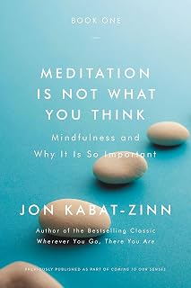 Meditation Is Not What You Think: Mindfulness and Why It Is So Important