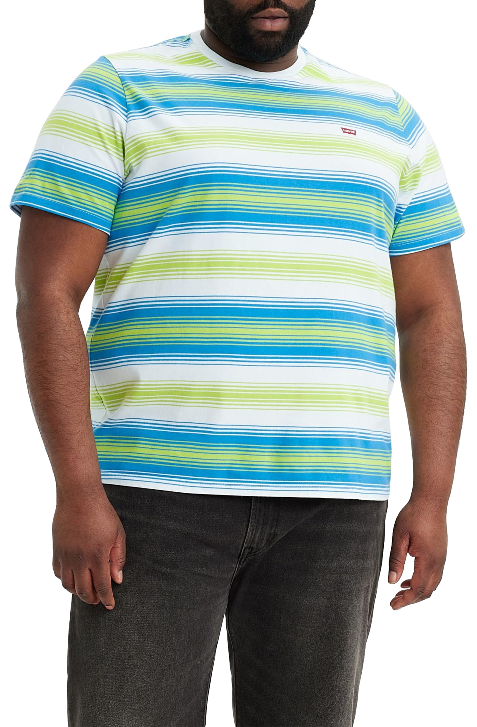 Levi's SS Classic HM Tee Gaia Brittany Blue St Men's T-Shirt