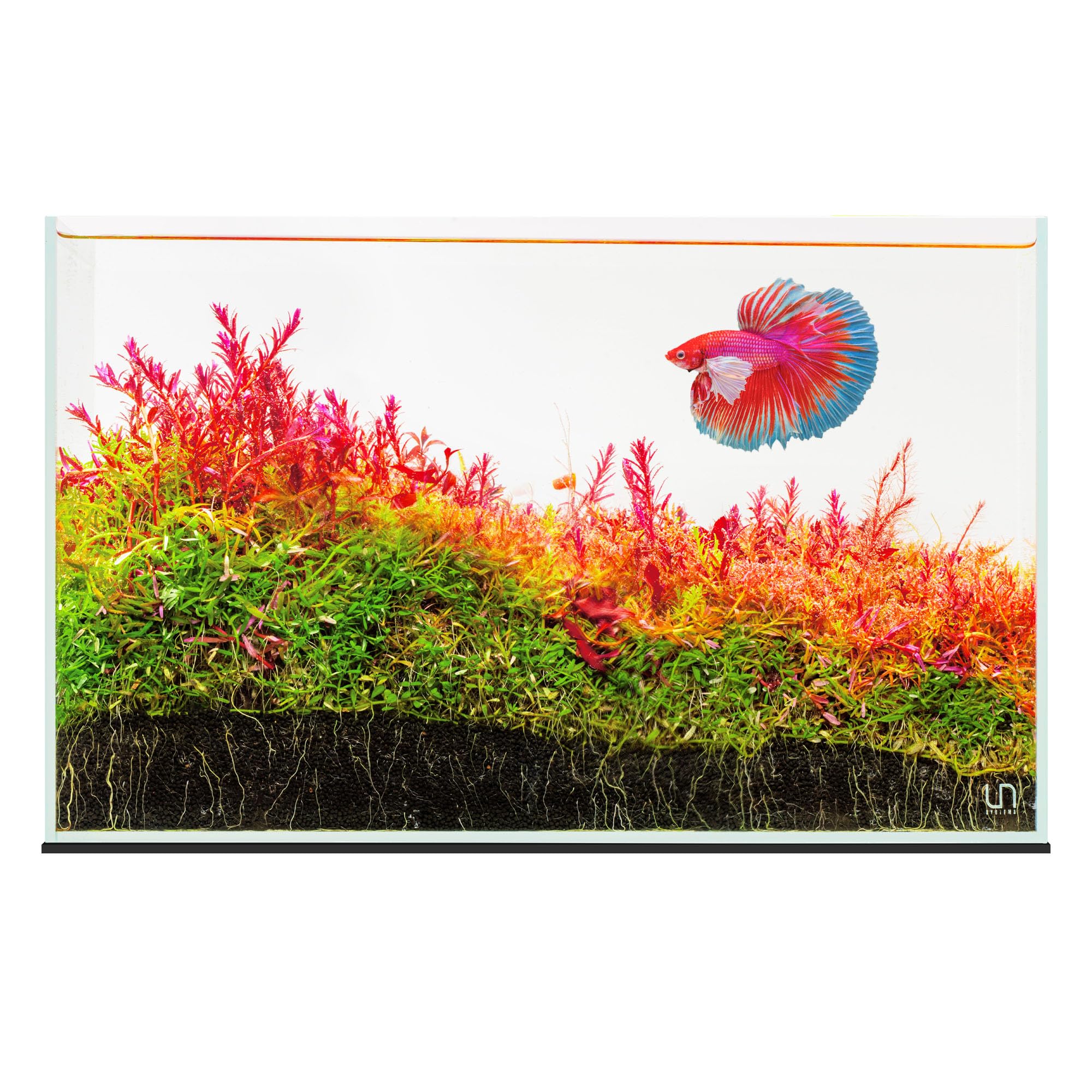 UNS Ultra Clear Rimless Tank - 9.3GAL | 35.2L - 17.71x11.02x11.02 | 45x28x28 CM,