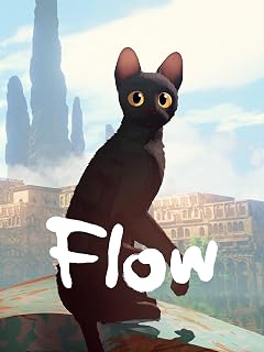 Flow