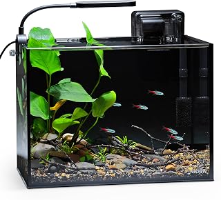 NICREW 2.5 Gallon Nano Nature Aquarium Kit Betta Fish Tank, Complete, Black | Ultra-Clear Rimless Glass, Light & Filter Included, Gravel & Rocks Included, Beginner-Friendly, Home & Office Desktop Decor