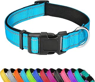 Reflective Dog Collar, Adjustable Soft Neoprene Padded Nylon Dog Collar with Buckle for Medium Dogs, Light Blue, L