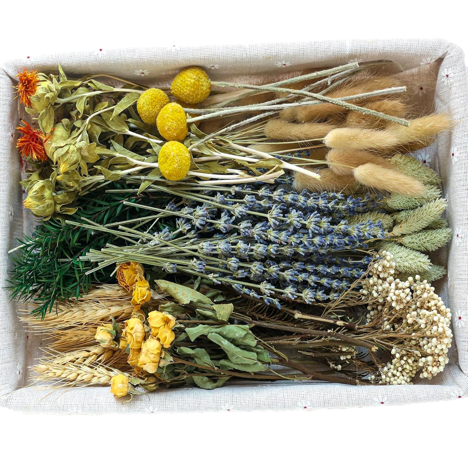 xin's convey DIY Natural Dried Flower Set, Bulk Dried Flowers for Vase, Dried Fl