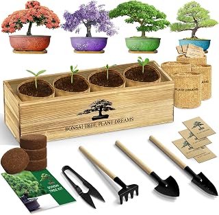 LUOJIBIE Bonsai Tree Kit, Complete Bonsai Starter Growing Kit, Christmas Birthday Gifts for Women Men Mom Dad Girls Boys, Gardening Gift for Plant Lovers, White Elephant Gifts for Adults