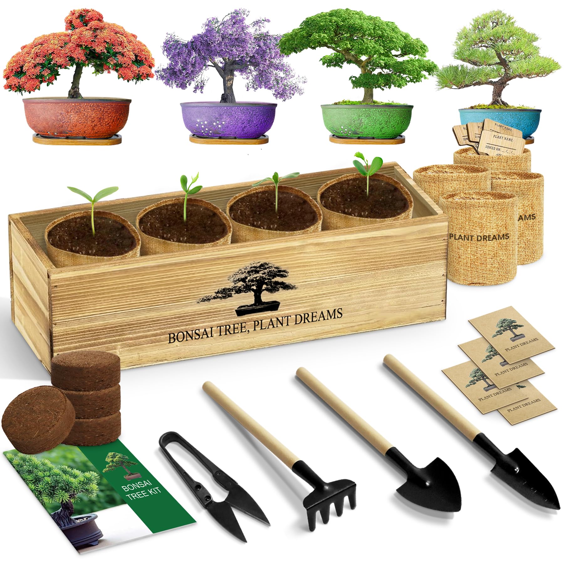 LUOJIBIE Bonsai Tree Kit, Complete Bonsai Starter Growing Kit, Christmas Birthda