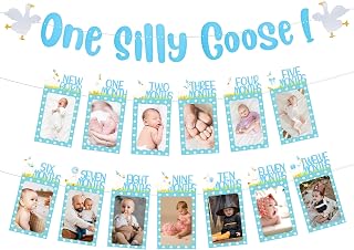 JEHWAEEN Silly Goose 1st Birthday Photo Banner Theme Colors – 12-Month Baby Picture Garland for Girl's First Birthday Party Decorations & Supplies (Blue)