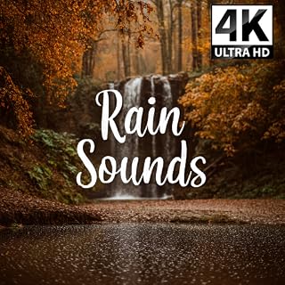 Rain Sound Rainy Sleep