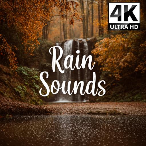 Rain Sound Rainy Sleep