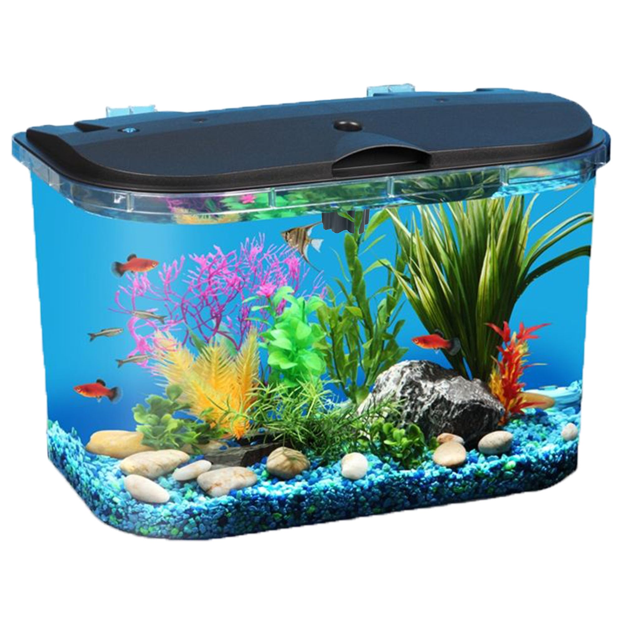 Koller Products 5-Gallon Aquarium Kit with LED Lighting and Power Filter, Ideal 