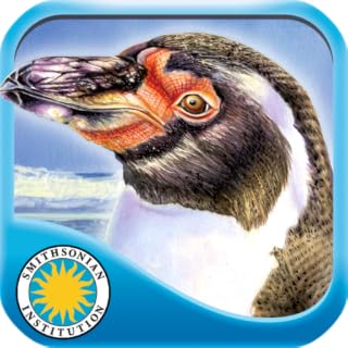 Penguin's Family - Smithsonian Oceanic Collection