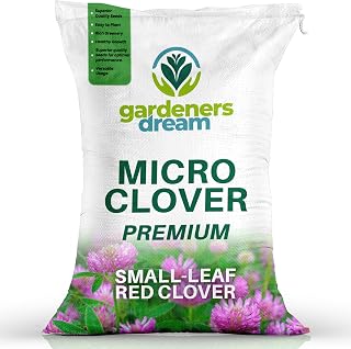 100g Premium Red Clover Grass Seed for Eco-Friendly Lawns - Drought Resistant, Nitrogen Fixing Garden Ground Cover - for Low Maintenance, Bee Friendly Gardens and Organic Farming (Covers 20m²)