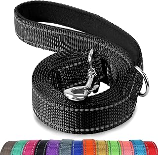 Joytale Reflective Dog Leash for Medium & Large Dogs, 6 FT x 1", Black | Heavy Duty Nylon Webbing, Padded Handle for Comfort, Visible at Night, for Walking & Training