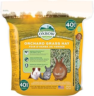 Oxbow Orchard Hay, Rabbit & Guinea Pig Hay, Hand-Sorted, De-Dusted, 40 oz | Orchard Grass Hay, Bunny Hay For Rabbits, Guinea Pigs, Bunnies and Chinchillas, Made in USA