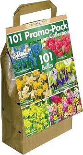 GreenBrokers 101 Promo Pack Bulbs