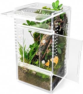 Acrylic Insect Terrarium, Clear Habitat for Jumping Spiders, Tarantulas, Mantises, Snails and Caterpillars
