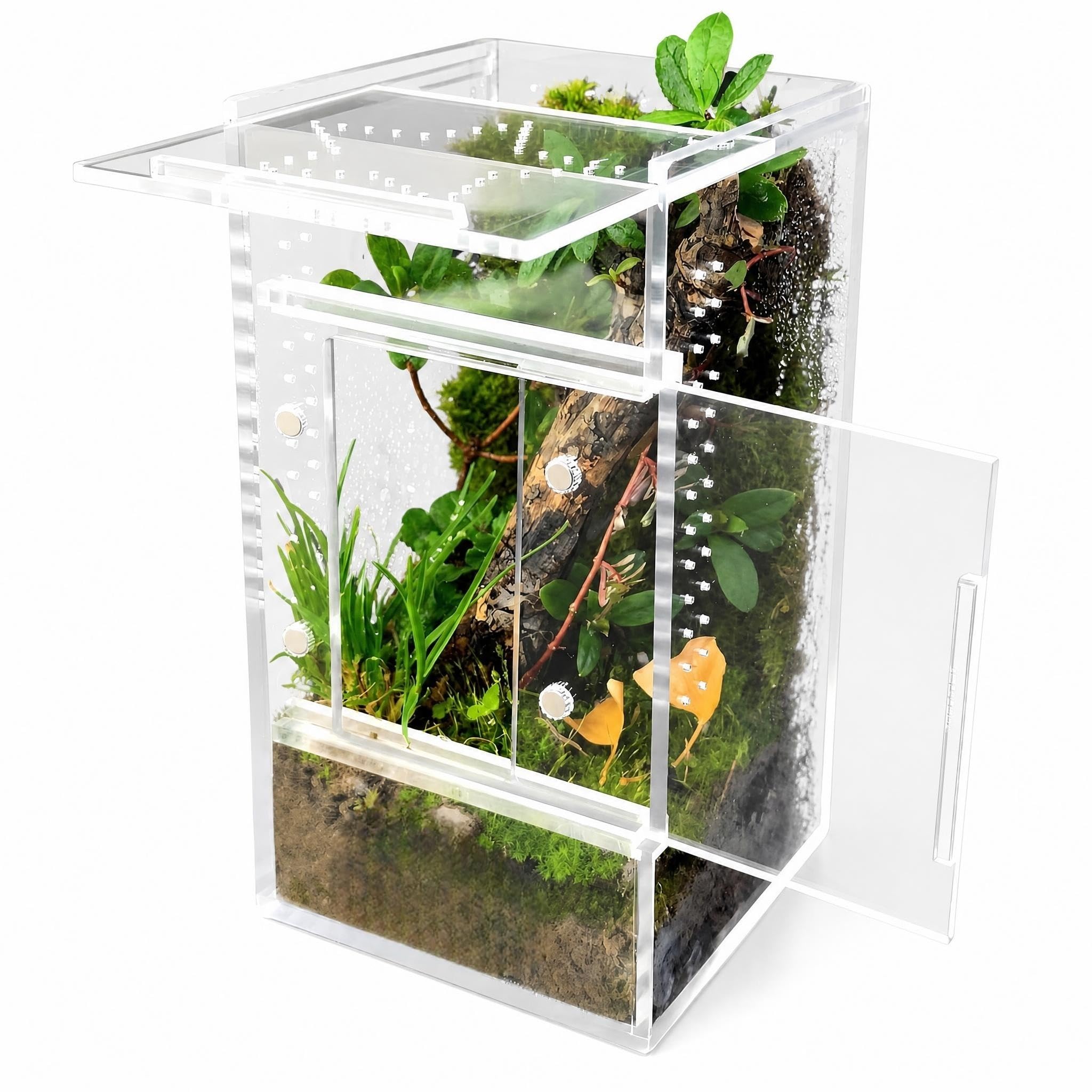 Acrylic Insect Terrarium, Clear Habitat for Jumping Spiders, Tarantulas, Mantise