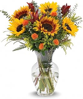 Stargazer Barn Pacific Sunset Bouquet - Vase Included | Fresh Cut Flower Delivery, Hand-Tied in the USA, Gift for Birthday, Anniversary, Sympathy or Home Decor