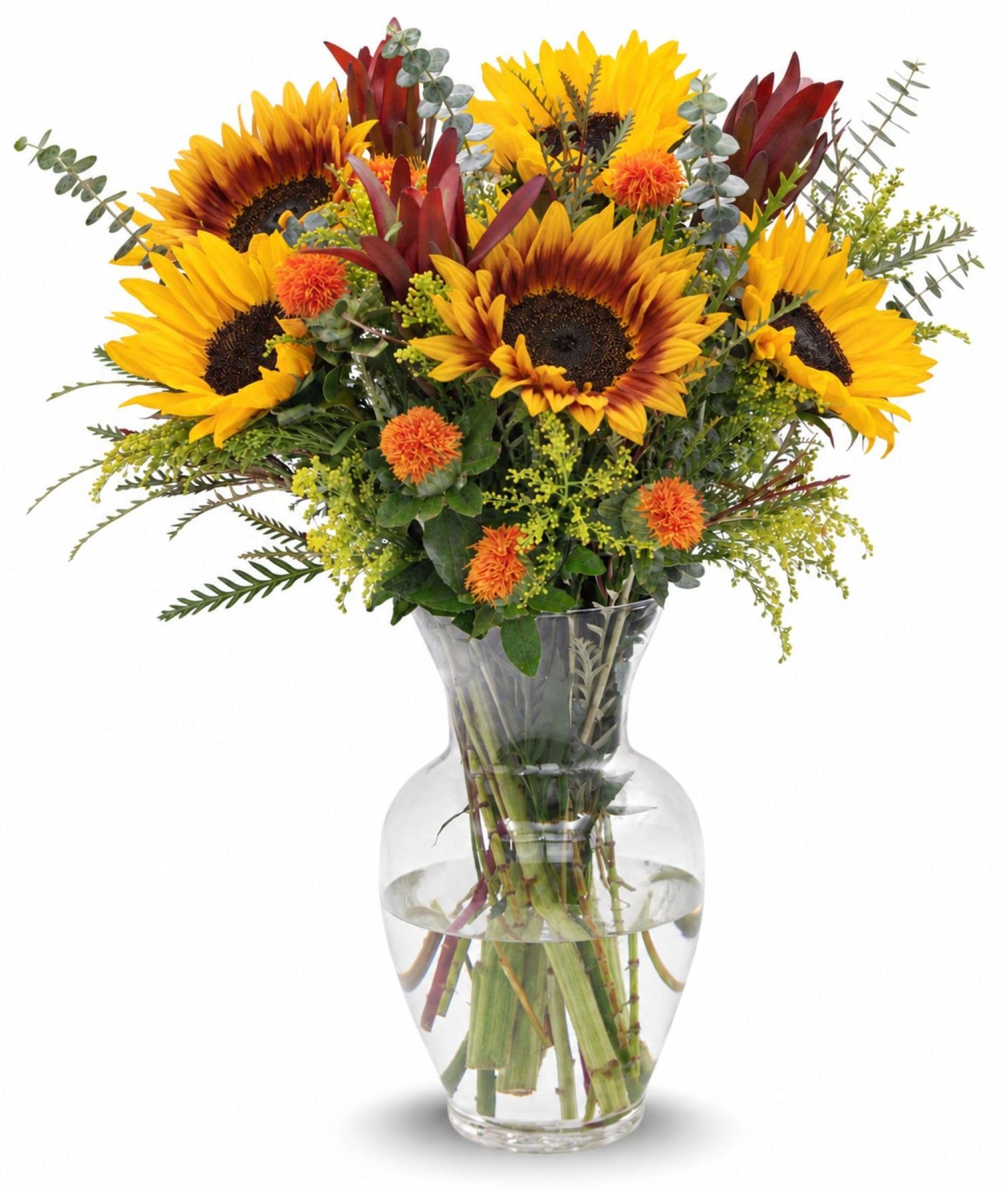 Stargazer Barn Pacific Sunset Bouquet - Vase Included | Fresh Cut Flower Deliver