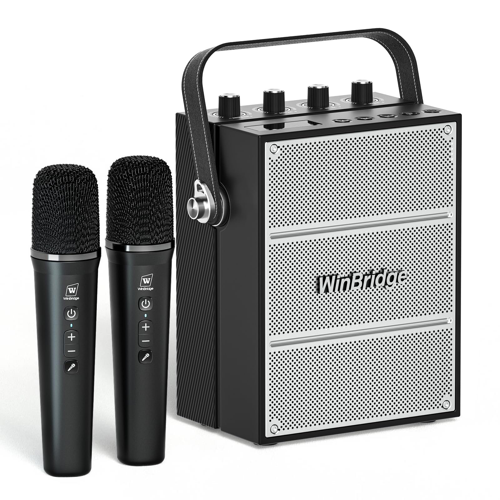 100W Powerful Voice Amplifier with 2 Wireless Microphones S99 | Big Pro Sound Po