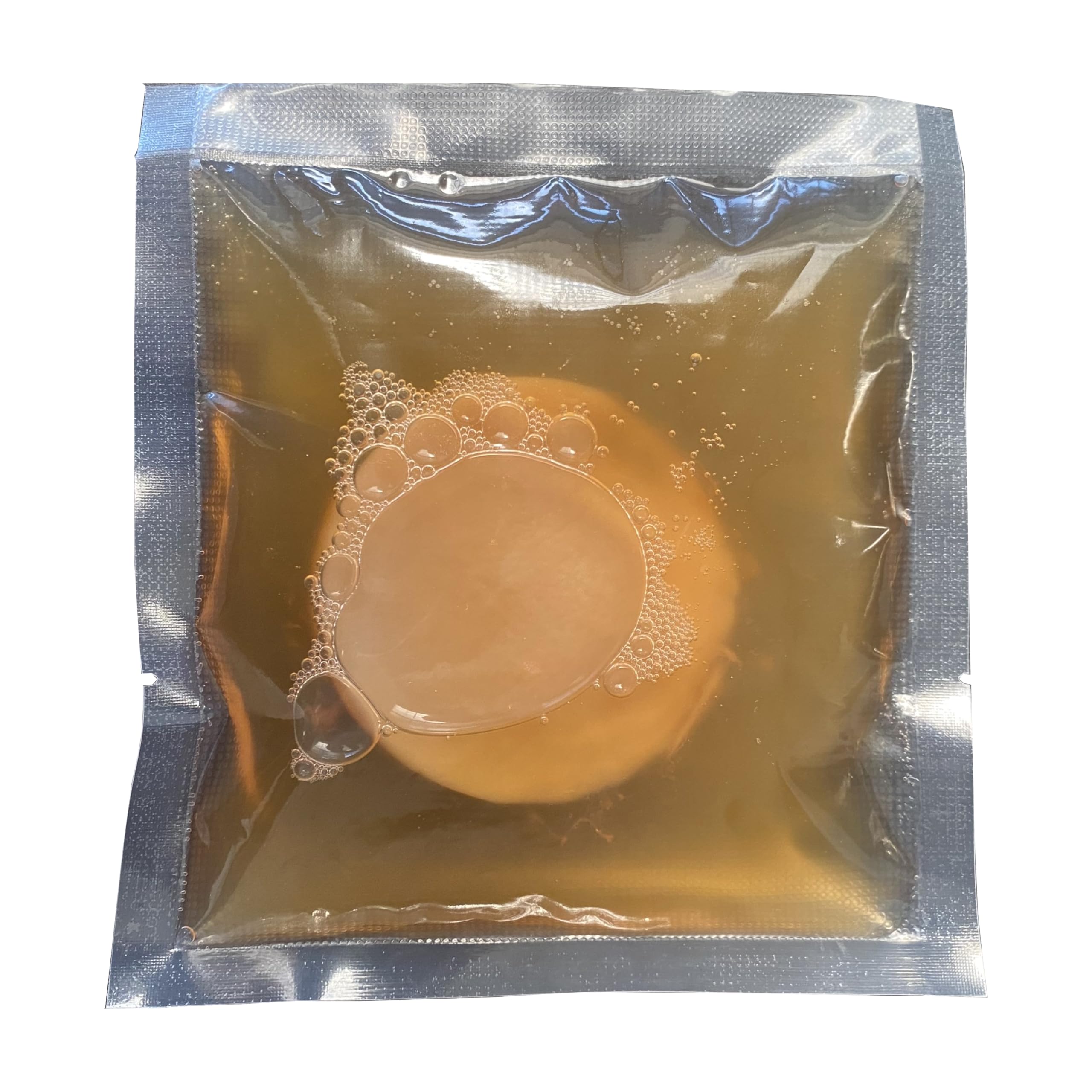 Kombucha Starter Kit with Kombucha Scoby and Strong Starter Liquid for Home Brew