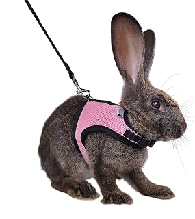 Niteangel Adjustable Soft Harness with Elastic Leash for Rabbits (Pink, Medium)